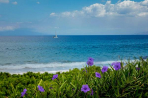 Polo Beach Club Two Bedrooms - Sleeps 6 by Coldwell Banker Island Vacations